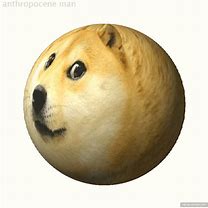 Image result for Doge Meme Template