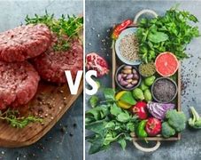 Image result for Vegan vs Meat Testosterone