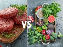 Image result for Vegetarian vs Meat Eater Arguments