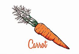 Image result for Carrot Illustration