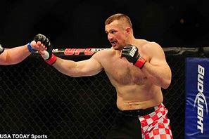 Image result for Retired MMA Fighters