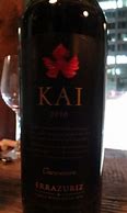 Image result for Errazuriz Carmenere Kai