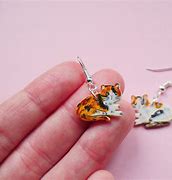 Image result for Clay Cat Earrings