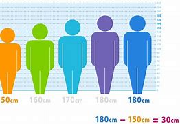 Image result for How Tall Is 173 Cm in Feet