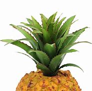 Image result for Artificial Pineapple Plant