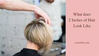 Image result for Long Hair Cut Off 2 Inches