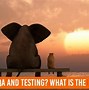 Image result for What Does Test Stand For