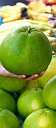 Image result for Giant Orange Fruit