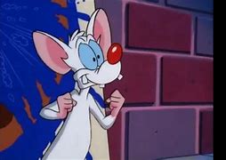 Image result for Pinky and the Brain Coloring