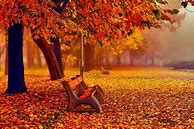 Image result for November Phone Wallpaper