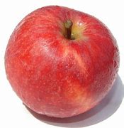 Image result for Fresh Gala Apples