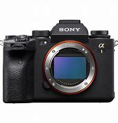Image result for Mirrorless Camera Body