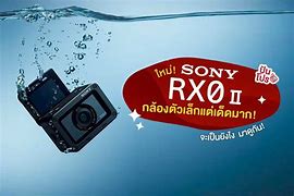 Image result for Sony Rxo II Batterij Kopen