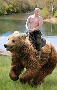 Image result for Vladimir Putin On Bear