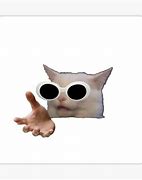 Image result for White Cat Meme Hands