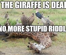 Image result for Dead Giraffe Meme