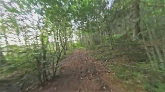 Image result for No GPS in Camping