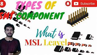 Image result for MSL IC