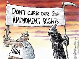 Image result for Pictures to Illustrate the 2nd Amendment Cartoon