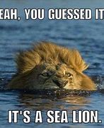 Image result for Funny Lion King Memes