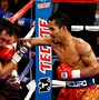 Image result for Famous Boxers Fighters