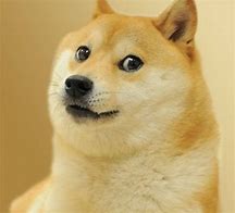 Image result for Doge Dog Meme