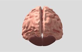 Image result for Brain Full of Thoughts Clip Art