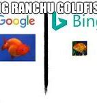 Image result for Google vs Bing Memes