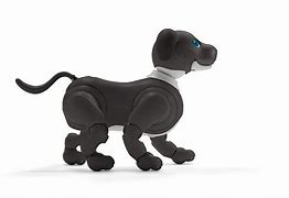 Image result for Aibo 220