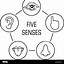 Image result for 5 Senses Stem