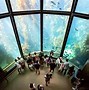 Image result for Best Aquariums in California