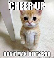 Image result for Cheer Up Animal Meme