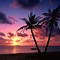 Image result for Tropical Sunset Wallpaper Desktop