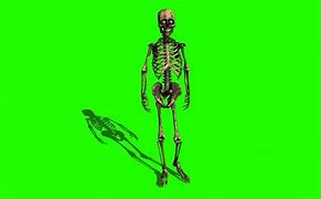 Image result for Skeleton Greenscreen