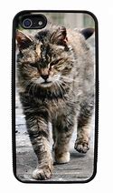 Image result for iPhone 5 Cat Case