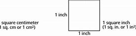 Image result for 1 Cm to Inches Fraction