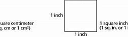Image result for 42 Cm to Inches