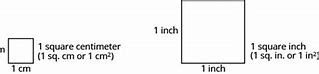 Image result for Examples of 1 Centimeter