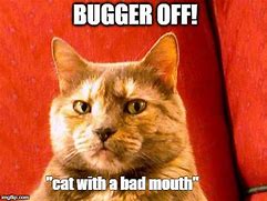 Image result for Mouth Closed Cat Meme