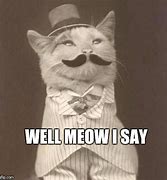Image result for Old Timey Cat Memes