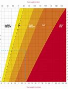 Image result for Metric Conversion Chart Meters