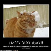 Image result for Happy Birthday Kitten Meme