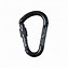 Image result for Carabiners Mountaineering