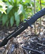 Image result for Best Fighting Knife