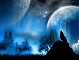 Image result for Coolest Wolf Space Wallpaper