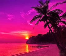 Image result for Hot Pink Backdrop