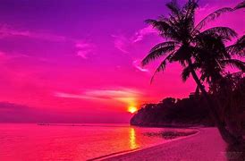 Image result for Red and Hot Pink Background