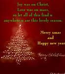 Image result for Wish You Merry Christmas