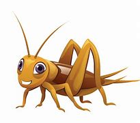 Image result for Cricket Insect Cartoon Images