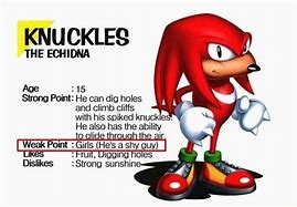 Image result for Knuckles the Echidna Funny